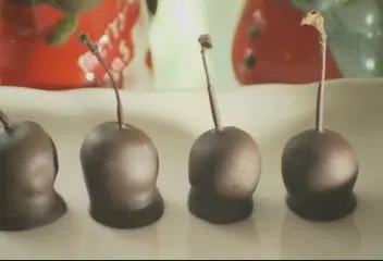 新手爸爸清境郊遊趣 新手爸爸清境郊遊趣