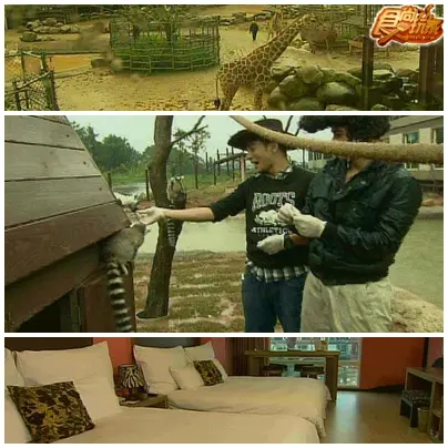 新竹 抓住青春尾巴 兩天一夜熱血行 新竹 抓住青春尾巴 兩天一夜熱血行