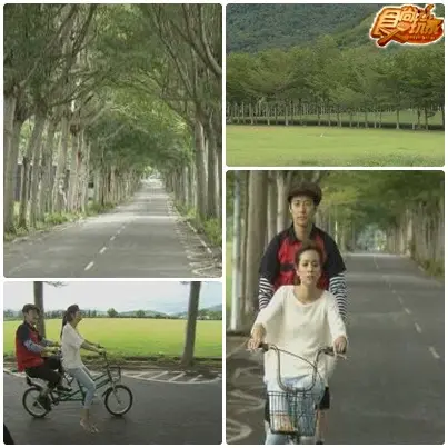 台東泡湯至親遊 台東泡湯至親遊