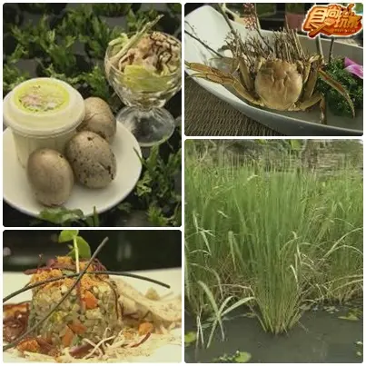 熱血蘭陽之美食黃金傳說 熱血蘭陽之美食黃金傳說