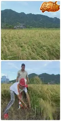 沒計畫暑假轉大人花東行 沒計畫暑假轉大人花東行