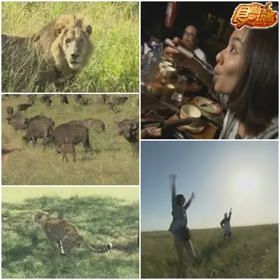 莎莎女王肯亞獵遊記 動物天堂馬賽馬拉