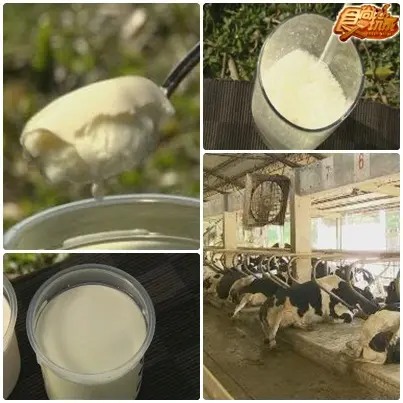 嘉義巷子內美食
