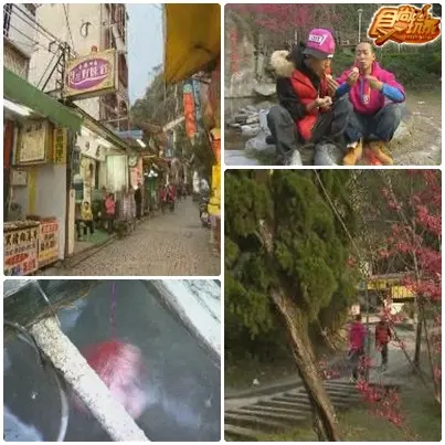 合歡山賞雪泡湯行家路線