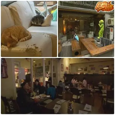 台北師大商圈 食遊血拼攻略