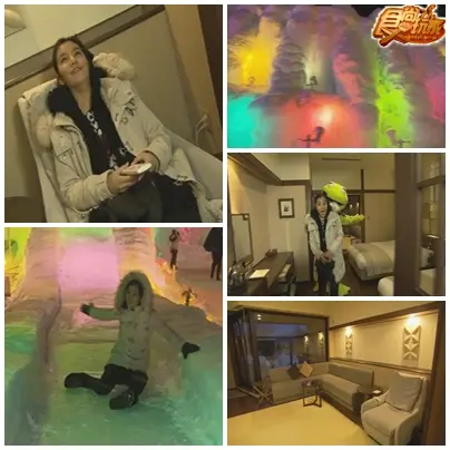 北海道青蛙當家 A咖寵物出頭天
