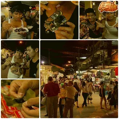 清邁泰超值泰好玩(上) 清邁泰超值泰好玩(上)