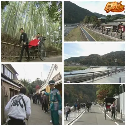一起來楓京都