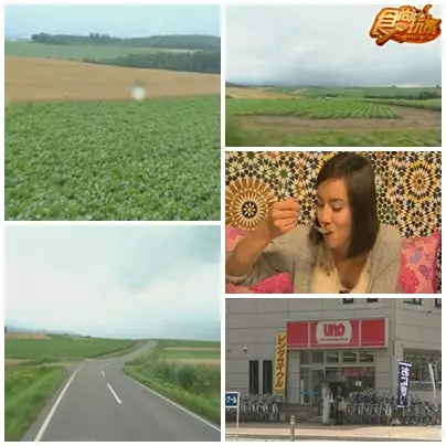 帶爸媽出去玩 北海道讓你玩不完