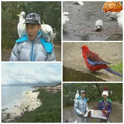 一生來一次 作夢都會笑 澳洲維多利亞
