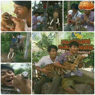 出國啦!!蘇梅島狂High渡假美食遊