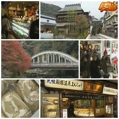 從東京出發 箱根賞楓郊遊去