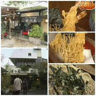 從東京出發 箱根賞楓郊遊去