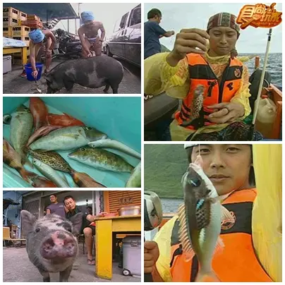 一路爽到天涯海角(下)蘭嶼