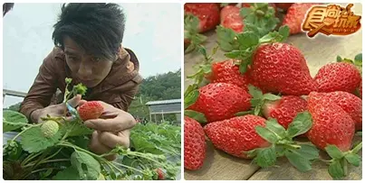 后里玩到high 乎你吃到爽