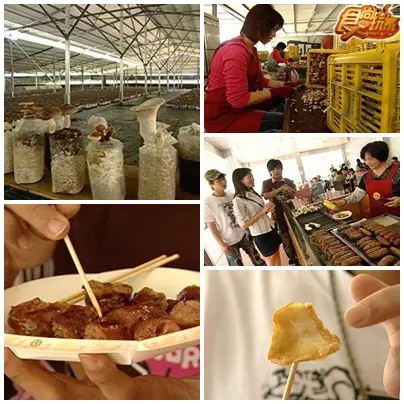 台中新社把妹行 台中新社把妹行