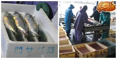 日本好好玩  大分超夯美食吃不停