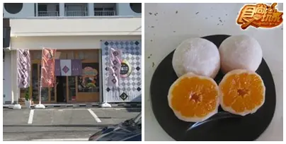 日本好好玩  愛媛水果海鮮吃翻天