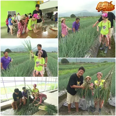 宜蘭新亮點 今夏打卡超威風！
