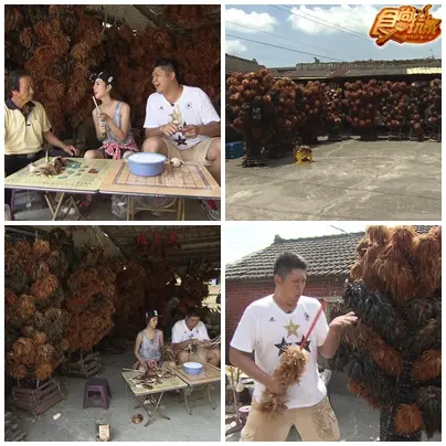 縱走大彰化 遇見驚喜小旅行