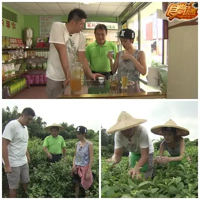 縱走大彰化 遇見驚喜小旅行 縱走大彰化 遇見驚喜小旅行