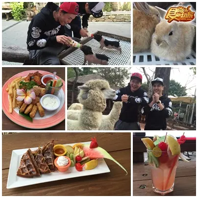 出一張嘴就好!橫掃高雄海線美食! 出一張嘴就好!橫掃高雄海線美食!