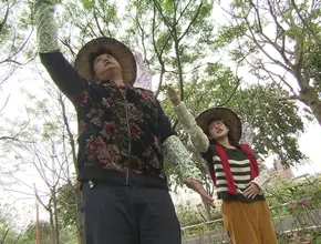 硬頸團出發!! 勤儉持家遊台中