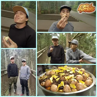 南投 留住完美假期!溪頭鹿谷發燒路線! 南投 留住完美假期!溪頭鹿谷發燒路線!