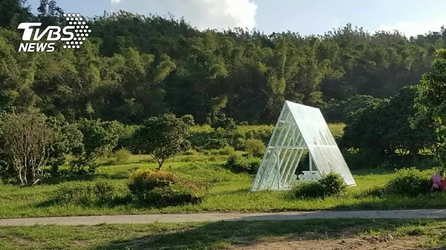 濱海版「忘憂森林」　南部秘境露營區曝光