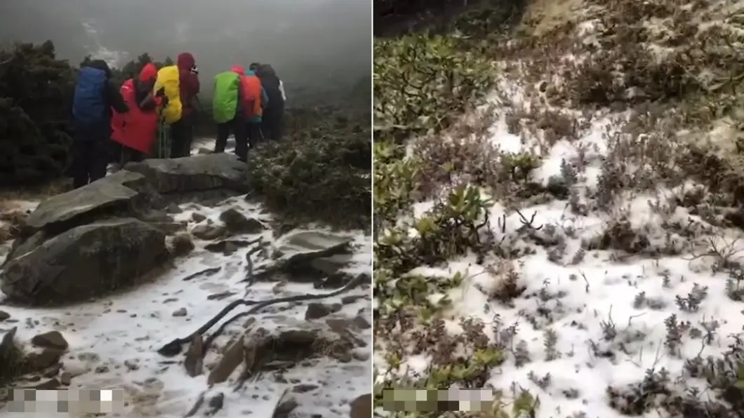 今年第1場!雪山「積雪3公分」化身銀白世界,山林披上白紗超夢幻 民眾拍下雪山主峰化為銀白世界。(合成圖/翻攝自「雪霸國家公園登山資訊分享站」) 雪山主峰下雪了!絕美初雪積2公分 男嗨喊:像暴風雪