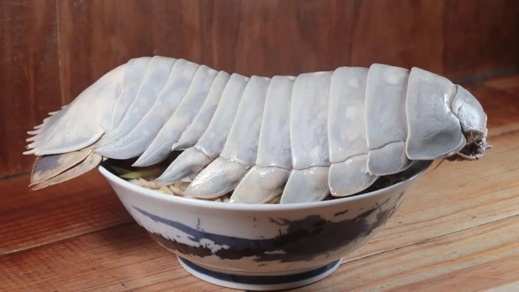 整隻「大王具足蟲」端上桌!超狂拉麵1碗1480元,網友驚:吃巨無霸海蟑螂? 拉麵公子推出「大王具足蟲」濃厚魚介雞白湯拉麵。(圖/翻攝自拉麵公子臉書) 超震撼!名店推出「大王具足蟲」拉麵 一碗破價千元